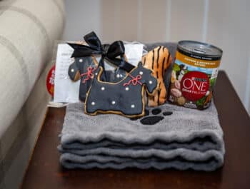 A stack of gray towels with a paw print, two dog-shaped cookies, a can of Purina ONE dog food, and a packet of pet treats on a wooden surface.