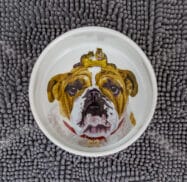 A dog bowl with a bulldog illustration sits on a textured gray mat.