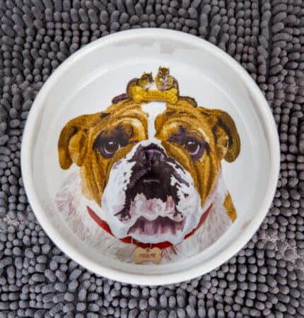 A white bowl with a bulldog face design inside, placed on a textured gray mat.