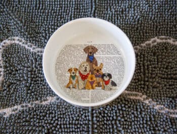 A white bowl adorned with text and illustrations of five dogs rests on a textured gray rug shaped like a bone, reminiscent of the charming ambiance found in Highlands, NC's pet-friendly hotels.