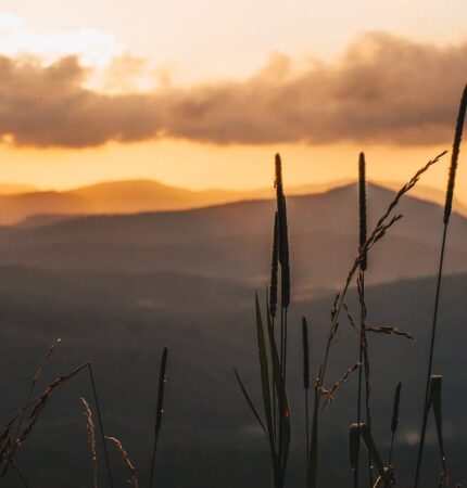 A scenic view of hills at sunset with tall grasses in the foreground and a sky filled with clouds.