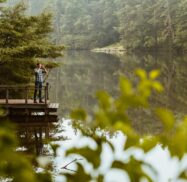 Person standing on a wooden dock by a calm lake, surrounded by lush greenery and trees reflecting in the water.