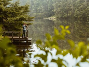 Person standing on a wooden dock by a calm lake, surrounded by lush greenery and trees reflecting in the water.