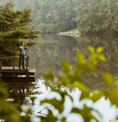 Person standing on a wooden dock by a calm lake, surrounded by lush greenery and trees reflecting in the water.