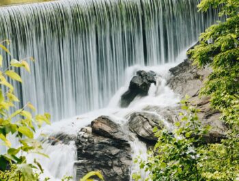 A small waterfall cascades over rocks surrounded by lush green foliage.