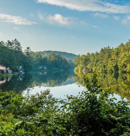 A tranquil lake surrounded by lush green trees and houses, reflecting the clear blue sky and clouds.