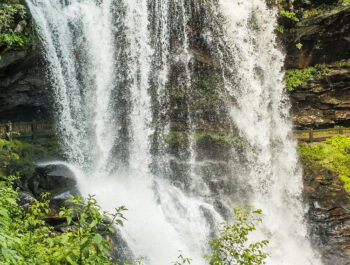 A waterfall cascades over a rocky cliff surrounded by lush green foliage.