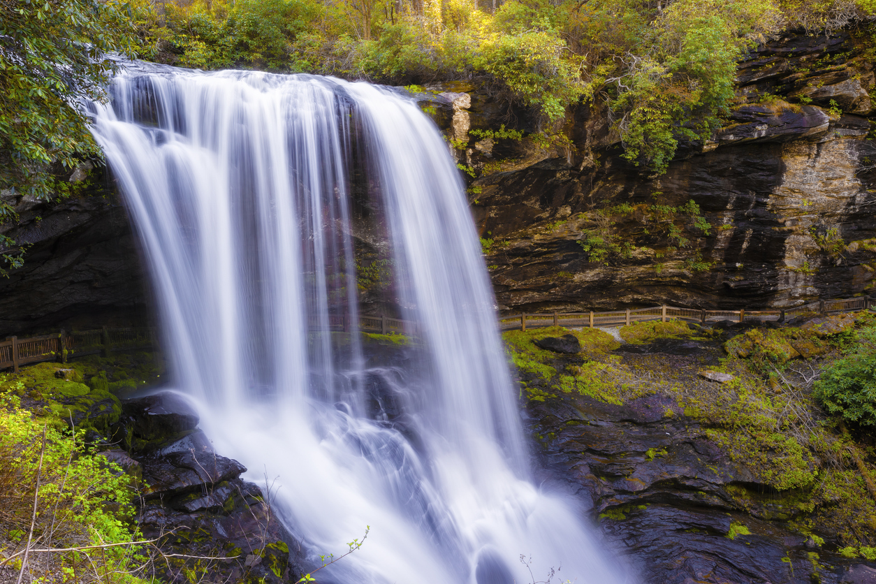 Chasing Waterfalls (and Squirrels)