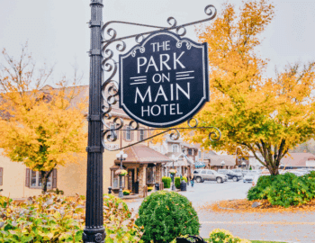 A black sign reading "The Park on Main Hotel" hangs from a streetlamp near autumn trees and buildings, with a black dog statue in the foreground.