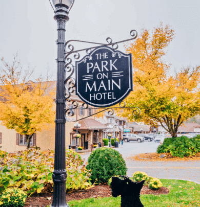 A black sign reading "The Park on Main Hotel" hangs from a streetlamp near autumn trees and buildings, with a black dog statue in the foreground.