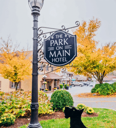 A black sign reading "The Park on Main Hotel" hangs from a streetlamp near autumn trees and buildings, with a black dog statue in the foreground.
