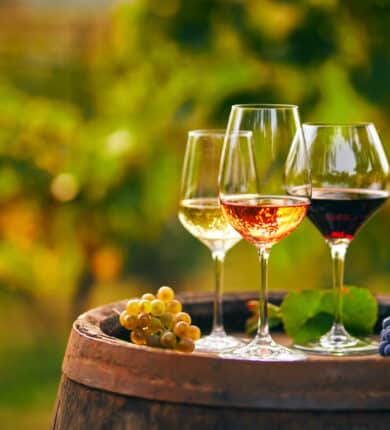 Three wine glasses with white, rosé, and red wine on a barrel, surrounded by grape clusters and vine leaves in a vineyard.