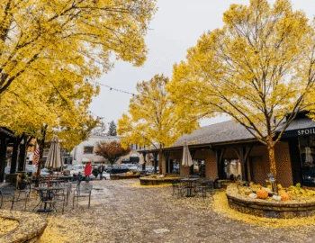 Autumn courtyard with yellow-leaved trees, outdoor café seating, pumpkins and boutique storefronts ideal for cosy hotel shopping breaks